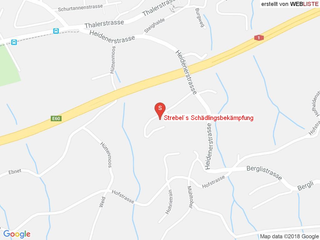 Standort Strebel's Schädlingsbekämpfung in 9404 Rorschacherberg