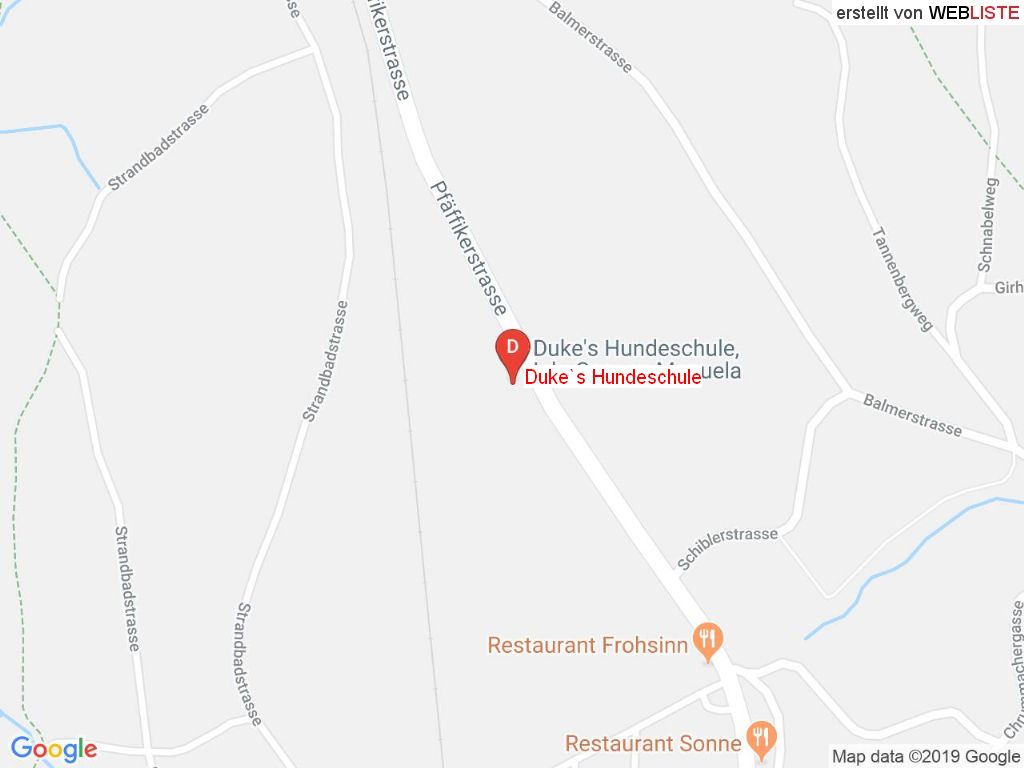 Standort Duke's Hundeschule in 8331 Auslikon