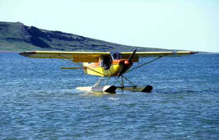 Piper PA-18 
