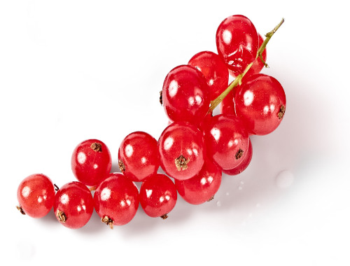 Johannisbeeren