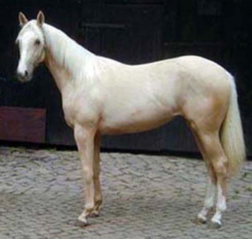 Lokaier
