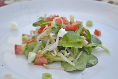 Nüsslisalat mit Sojasprossen