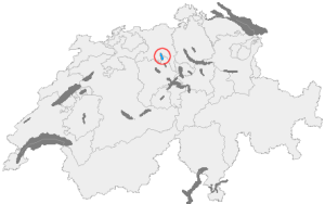 Hallwilersee
