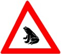 Tiere Frosch