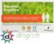 drogi.ch
