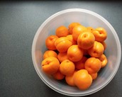 lubera.com
