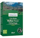 jumbo.ch