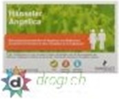 drogi.ch