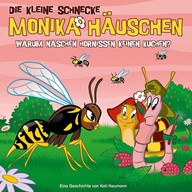 mueller-spring.ch